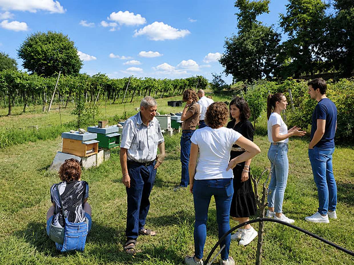 Beekeping Farm tour with food tasting in Lazise, photo 4