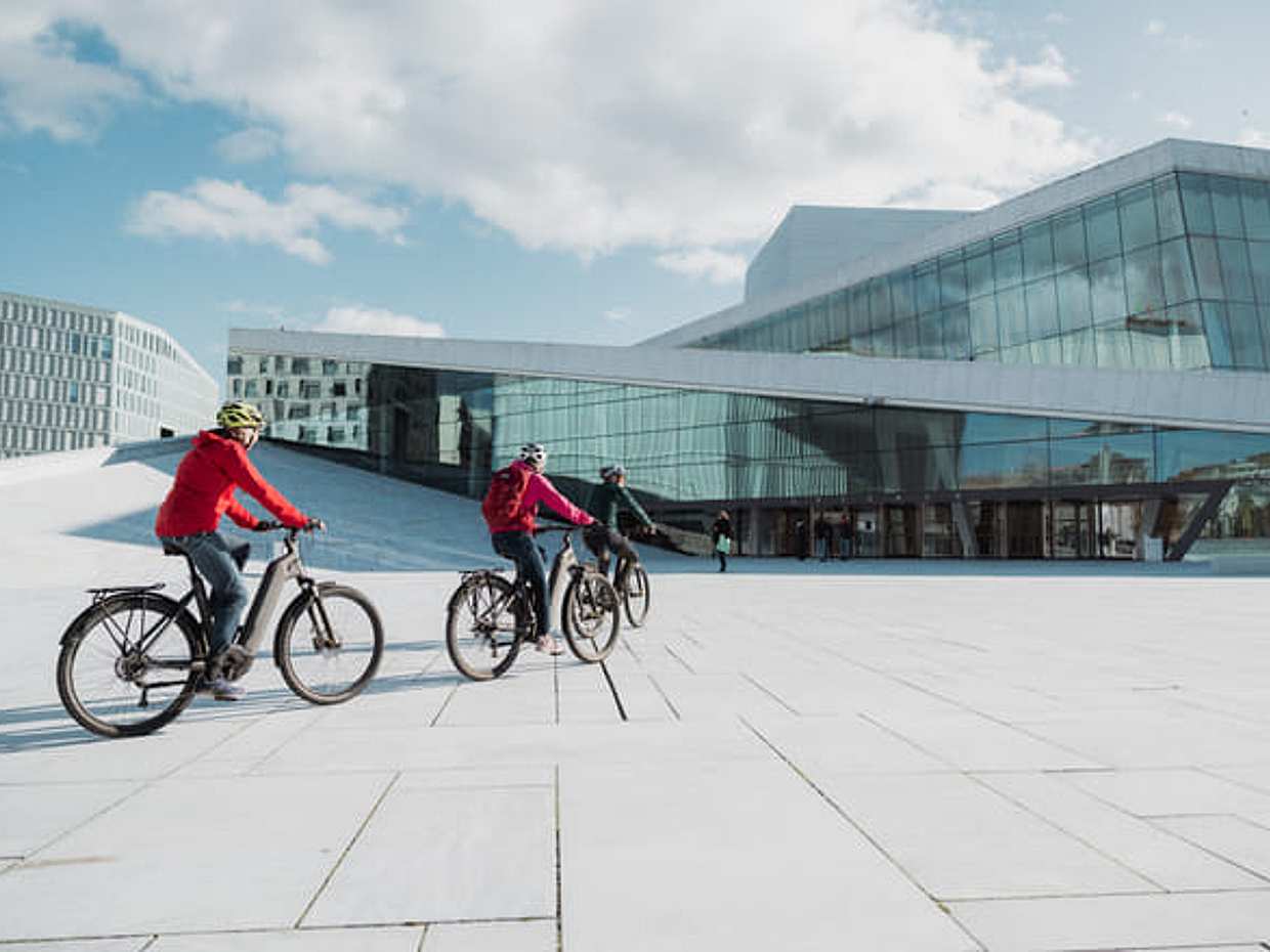 Highlights of Oslo by Bike in Norway