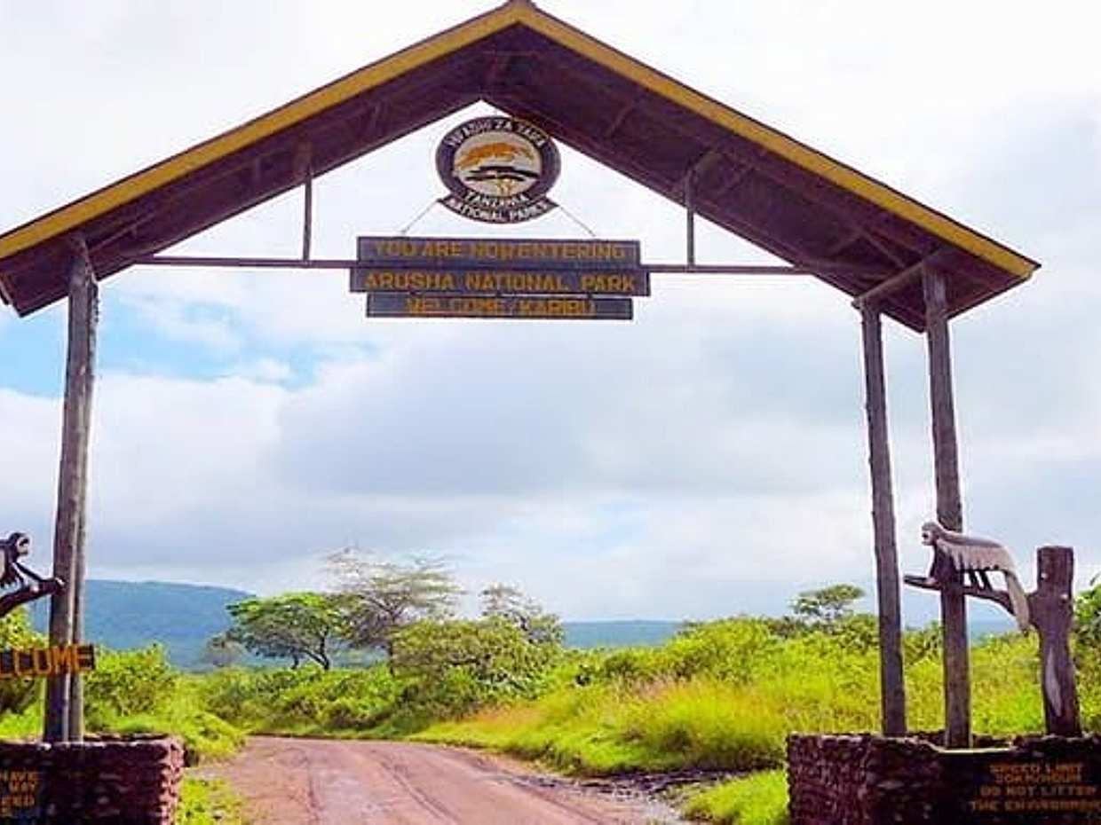 Arusha National Park Day Trip: Game Drive & Walking Safari, Tanzanie, photo 2