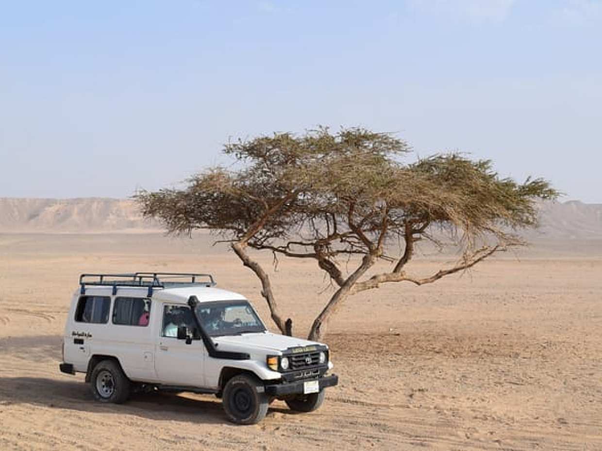 4x4 Safari: Marsa Alam Desert Adventure