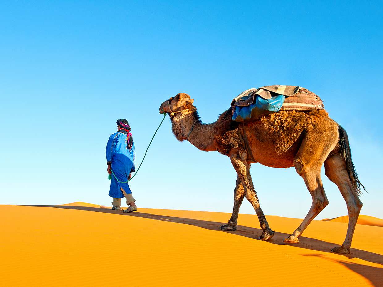 Abu Dhabi: 6 horas de Safari no Deserto com BBQ, Passeio de Camelo e Sandboarding