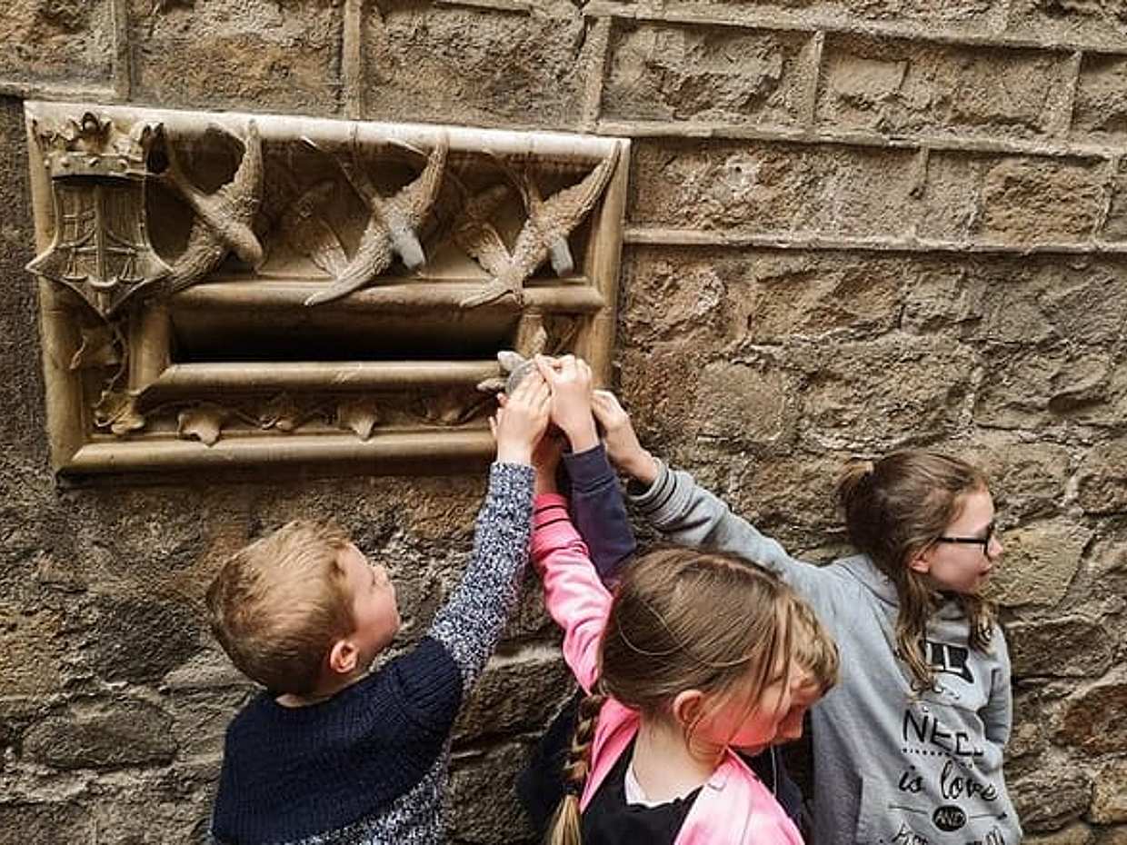 "Tour Privado 'Kickstart Barcelona' para Recién Llegados a España", photo 3