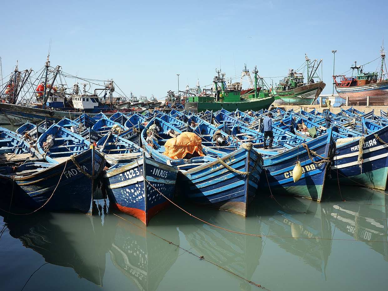 Essaouira: Fas Turunda Özel Günlük Gezi
, photo 4