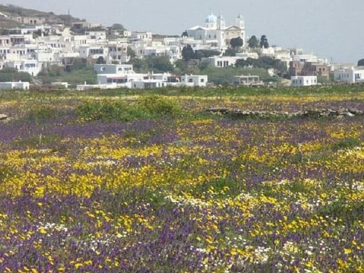 Tinos Island Tour from Mykonos, photo 3