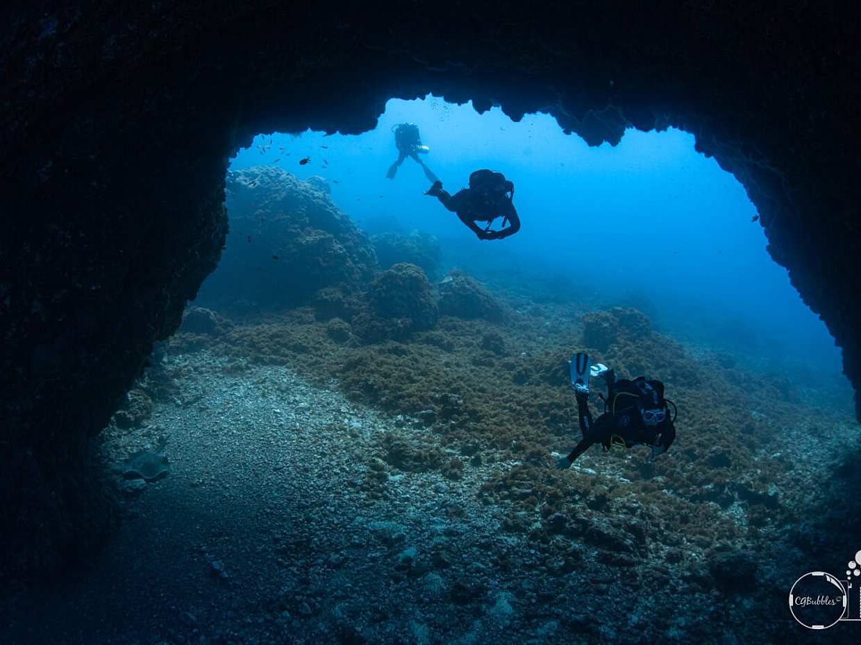 Zostań certyfikowanym nurkiem Open Water Diver na Azorach - Wyspa Pico - Twoja podwodna przygoda zaczyna się tutaj! w Portugalii.
, photo 4