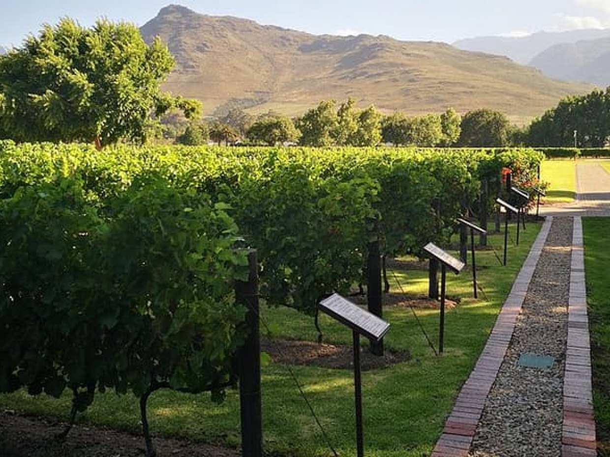 Private Cape Winelands Ful Day Ultra Flexible Guided Tour.