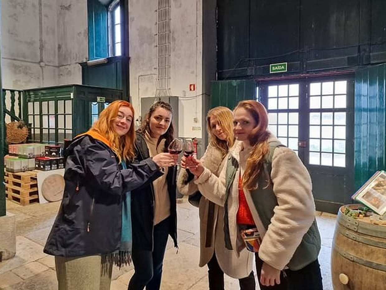 De Lisboa: Cata de vinos y tour turístico en Arrábida en Portugal, photo 2