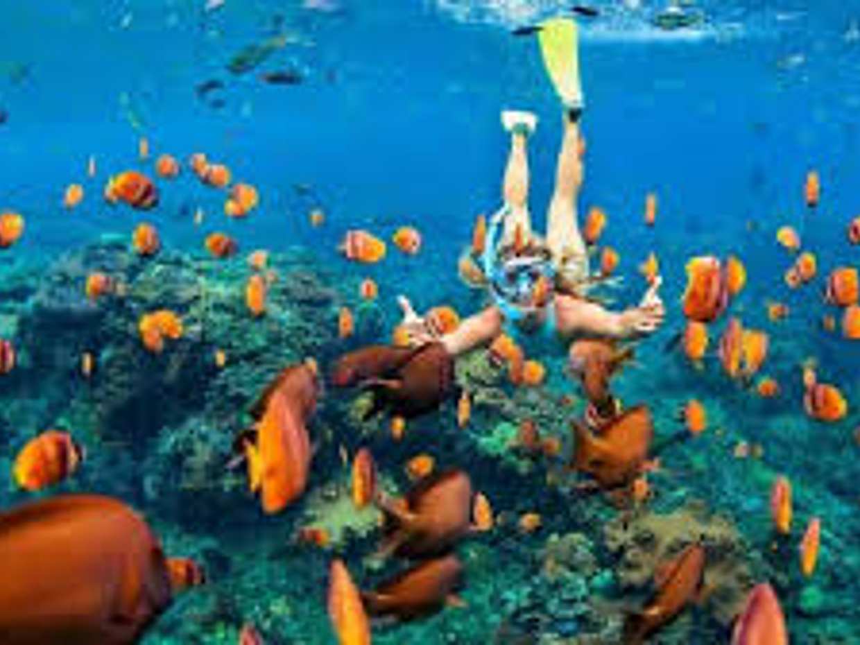 Tour en barco en Sharm-El-Shiekh con esnórquel en Egipto, Sharm El-Sheikh.
, photo 5