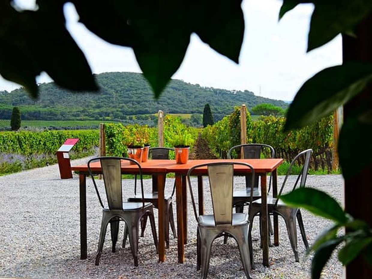 Exclusive Private Suvereto Experience from Florence: Land of Elisa Bonaparte, photo 3