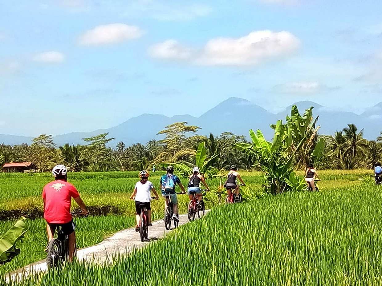 E-bike Ubud to Tegalalang Trip, Indonesia