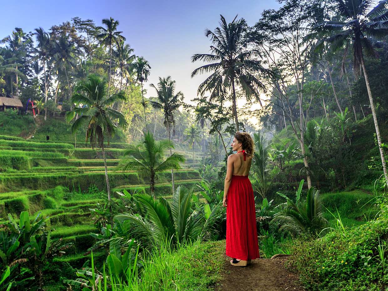 Secret Waterfalls Full-day Tour with a Photographer, photo 2