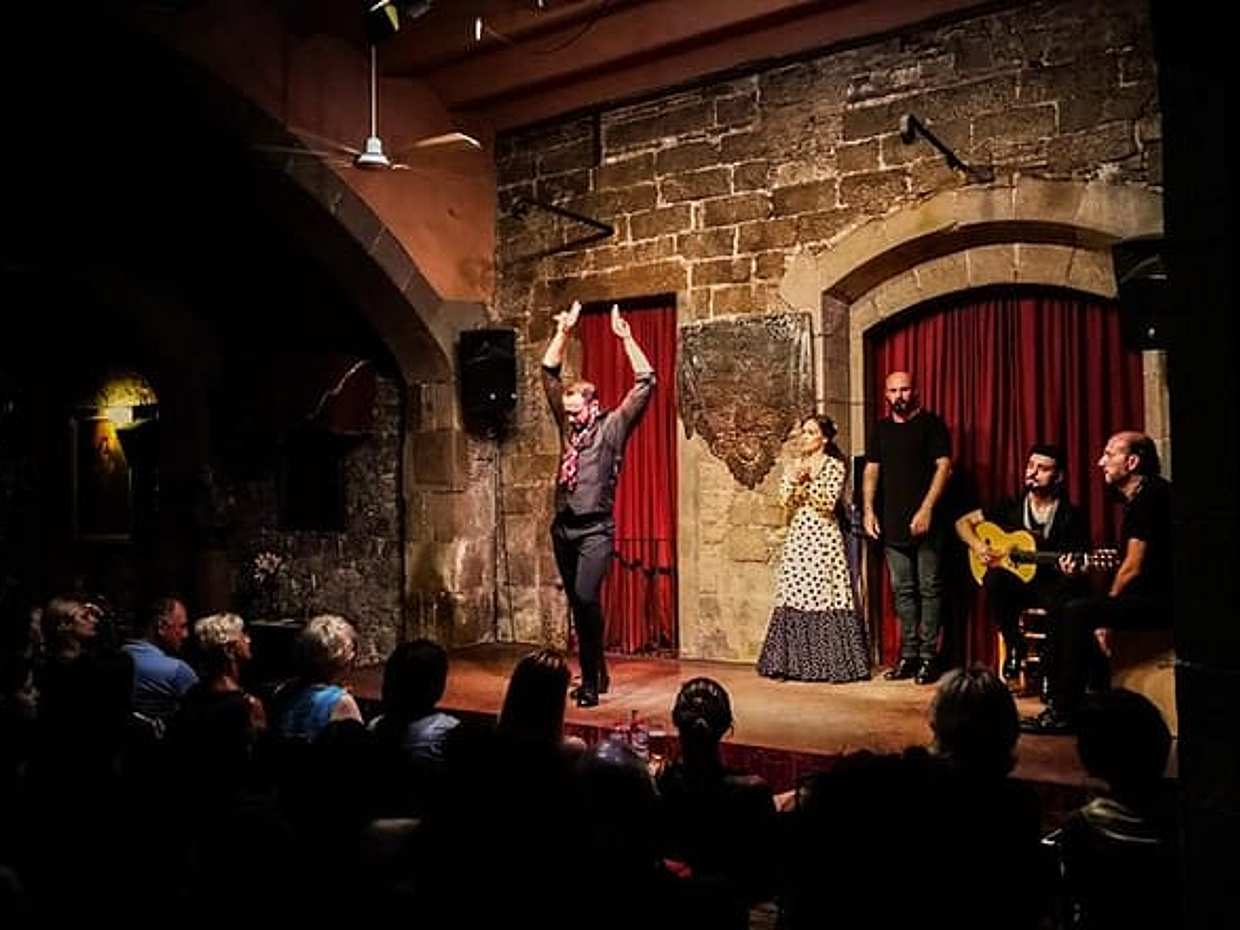 Barcelona Private Tour: Tapas & Wine Tasting with Flamenco Show in Spain