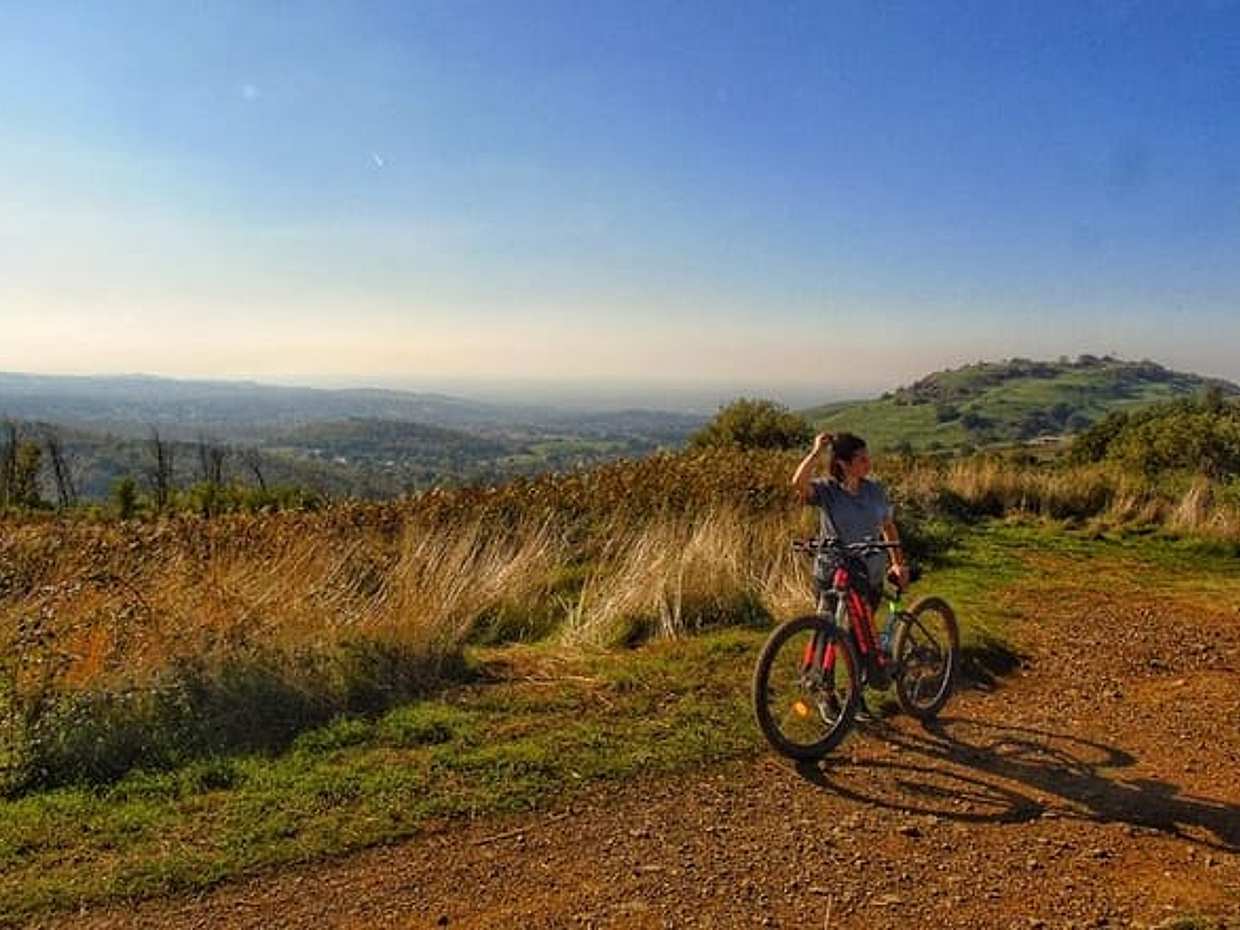 Bike excursion between history and vineyards: discovering Frascati