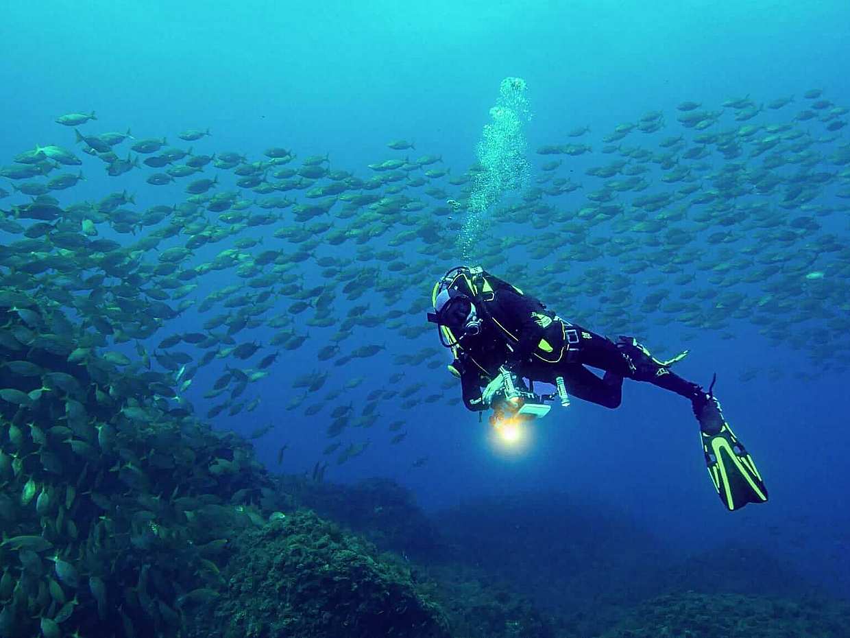 <p>เป็นนักดำน้ำ Open Water Diver ที่ได้รับการรับรองจากอะโซร์ส - เกาะ Terceira - การผจญภัยใต้น้ำของคุณเริ่มต้นที่นี่! ในโปรตุเกส</p>
