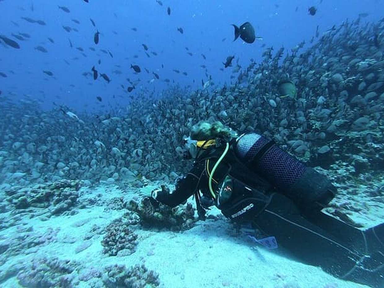 "Aventure de plongée sous-marine à Dubaï aux Émirats Arabes Unis", photo 5