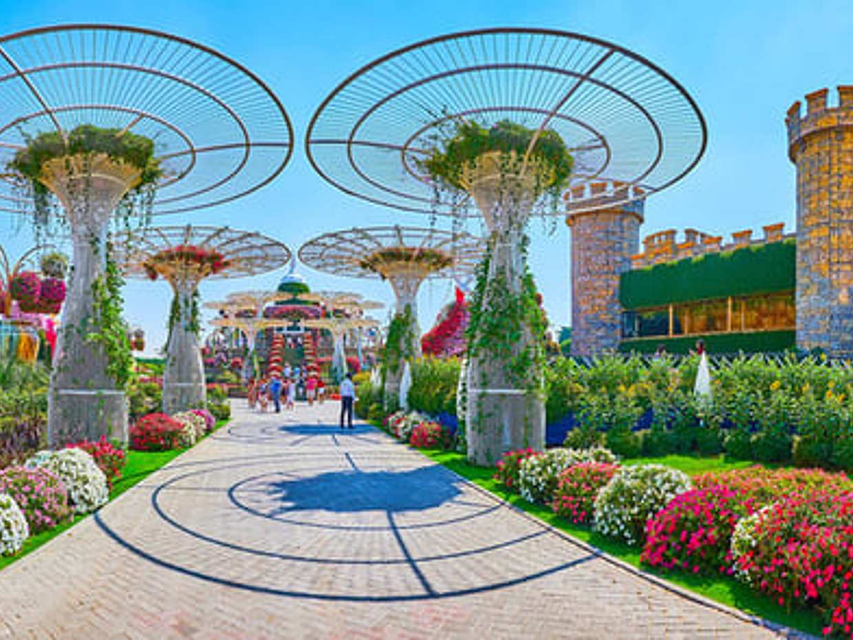 Dubai Miracle Garden Ticket, United Arab Emirates