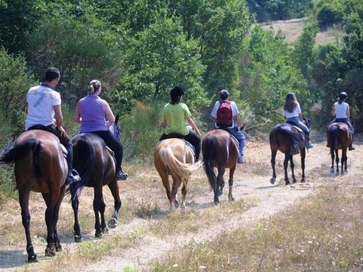 托斯卡纳山丘锡耶纳骑马之旅，意大利