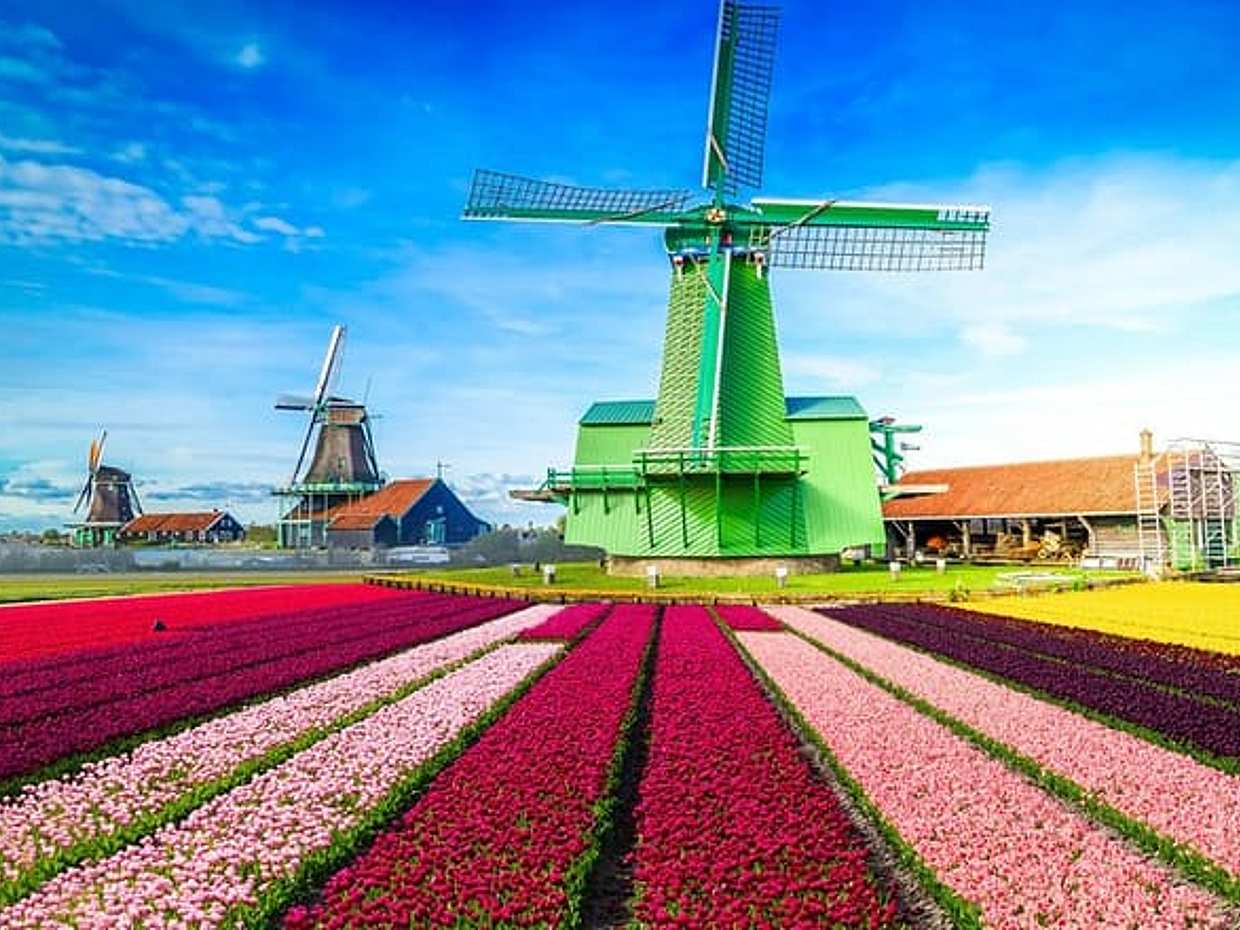 Private day trip from Amsterdam to Zaanse Schans, 3h Sightseeing in Netherlands, photo 5