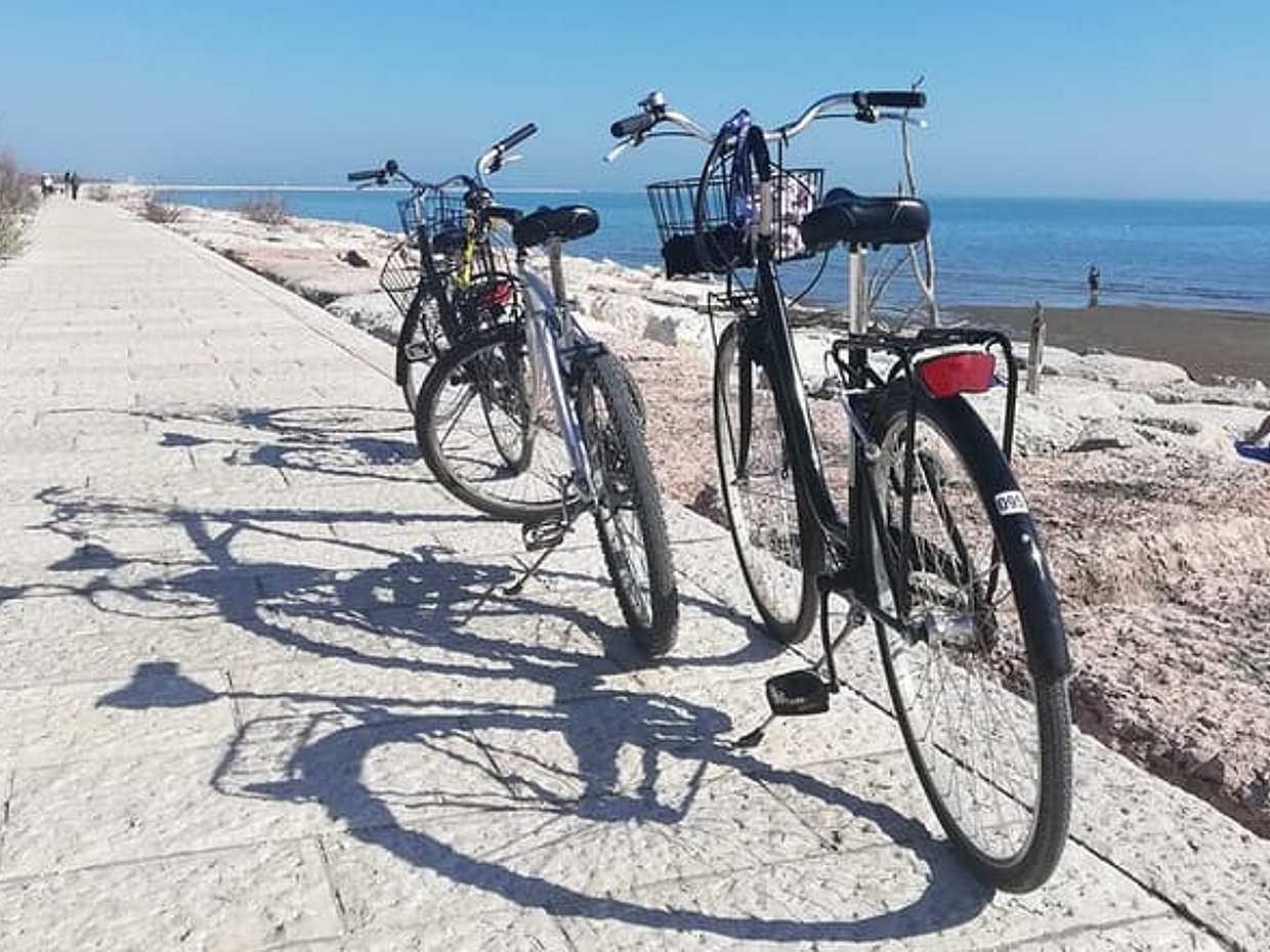 Venice Bike Hopping Tour: Lido & Pellestrina, photo 2