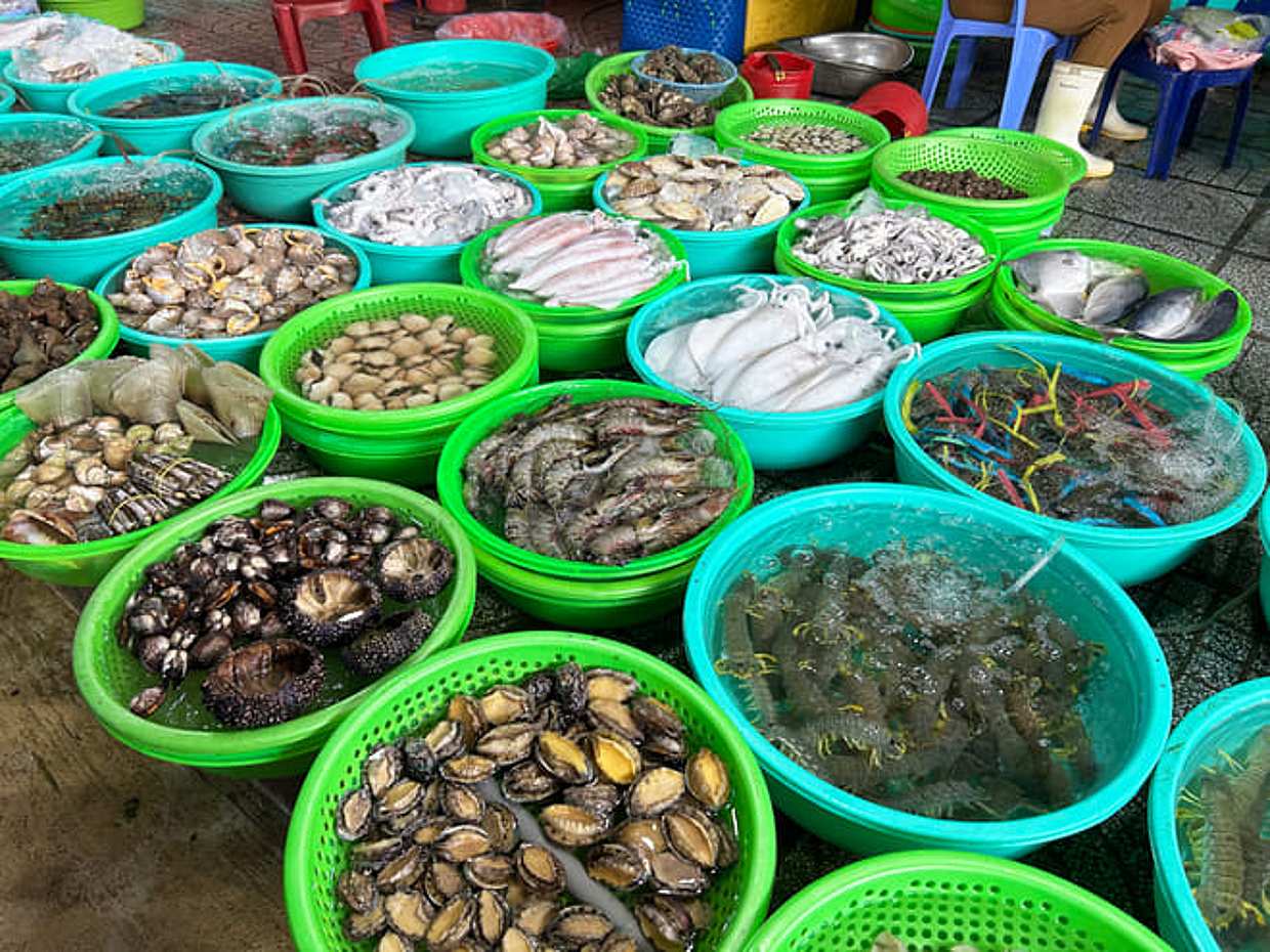 Private Eco Tour from Ho Chi Minh: Can Gio Mangroves, Monkeys & Local Lunch with multiple language tour guide, Vietnam, photo 4