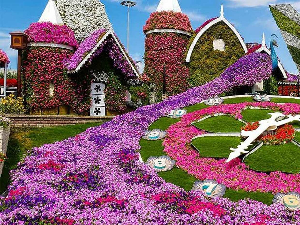 Private Transfer from Abu Dhabi to Dubai Theme Parks in United Arab Emirates, photo 4