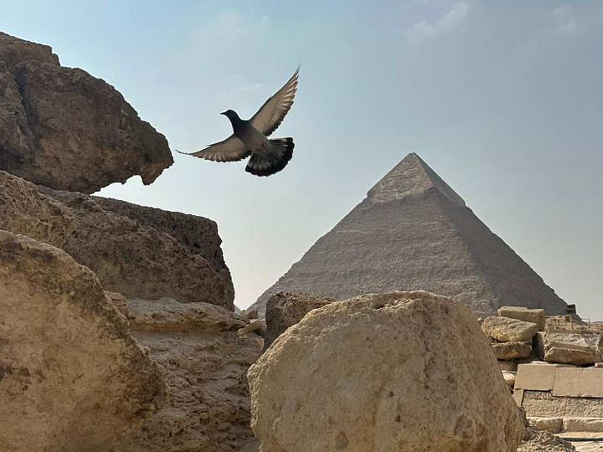 Экскурсия по Пирамидам и Музею из Каира in Egypt, Cairo