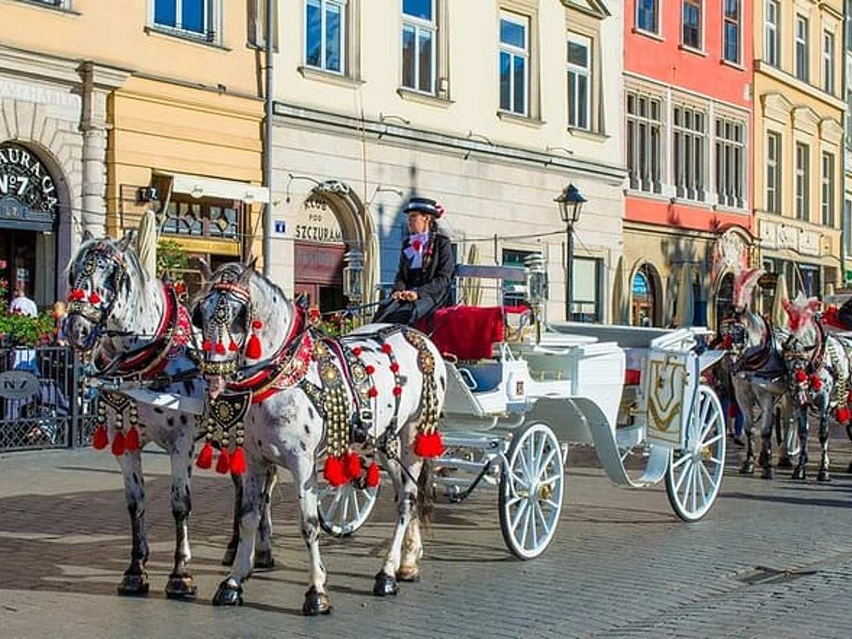 Private Transfer from Berlin to Krakow with 2 hours for sightseeing, photo 4