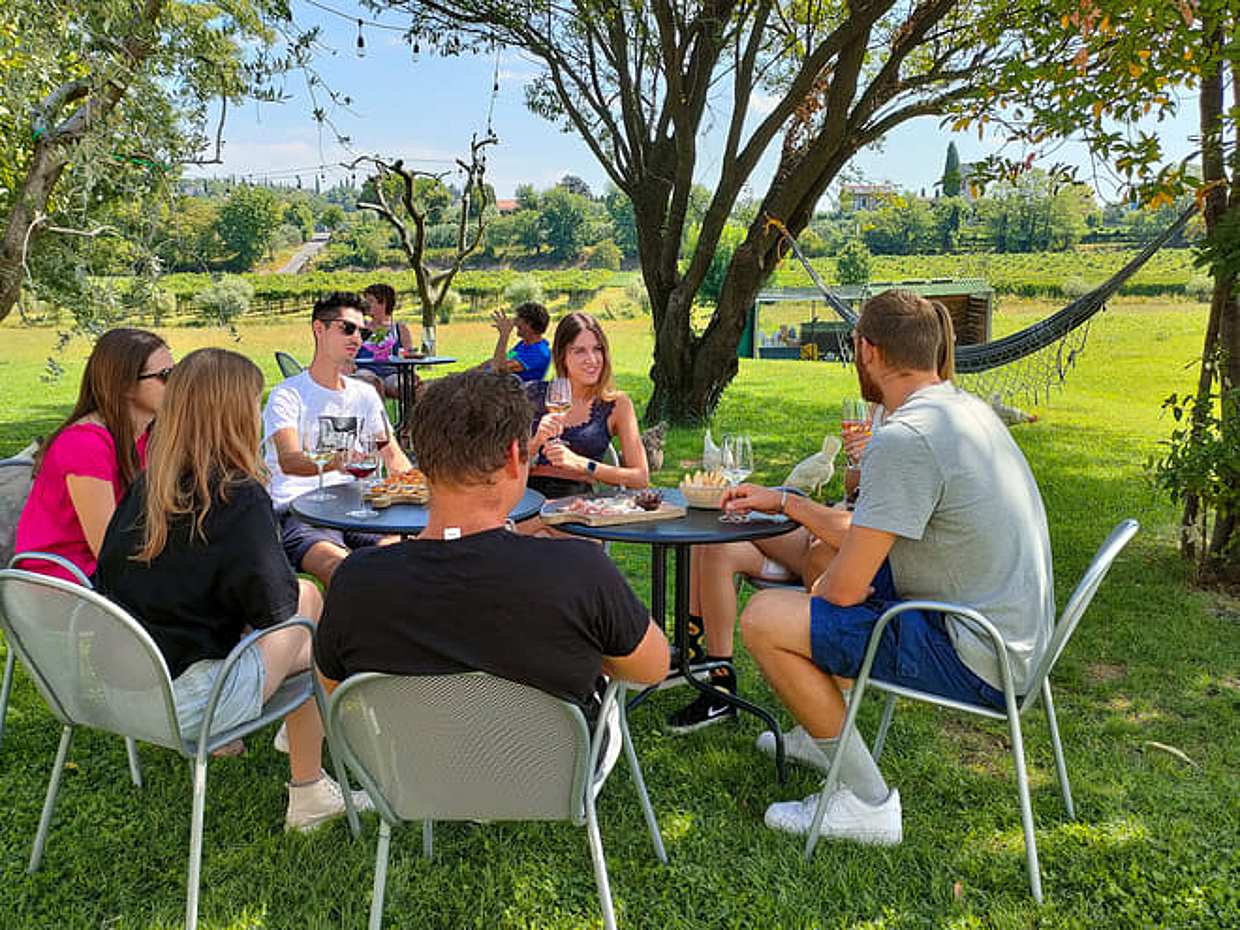Wine Tasting with local food in Lazise countryside, photo 2