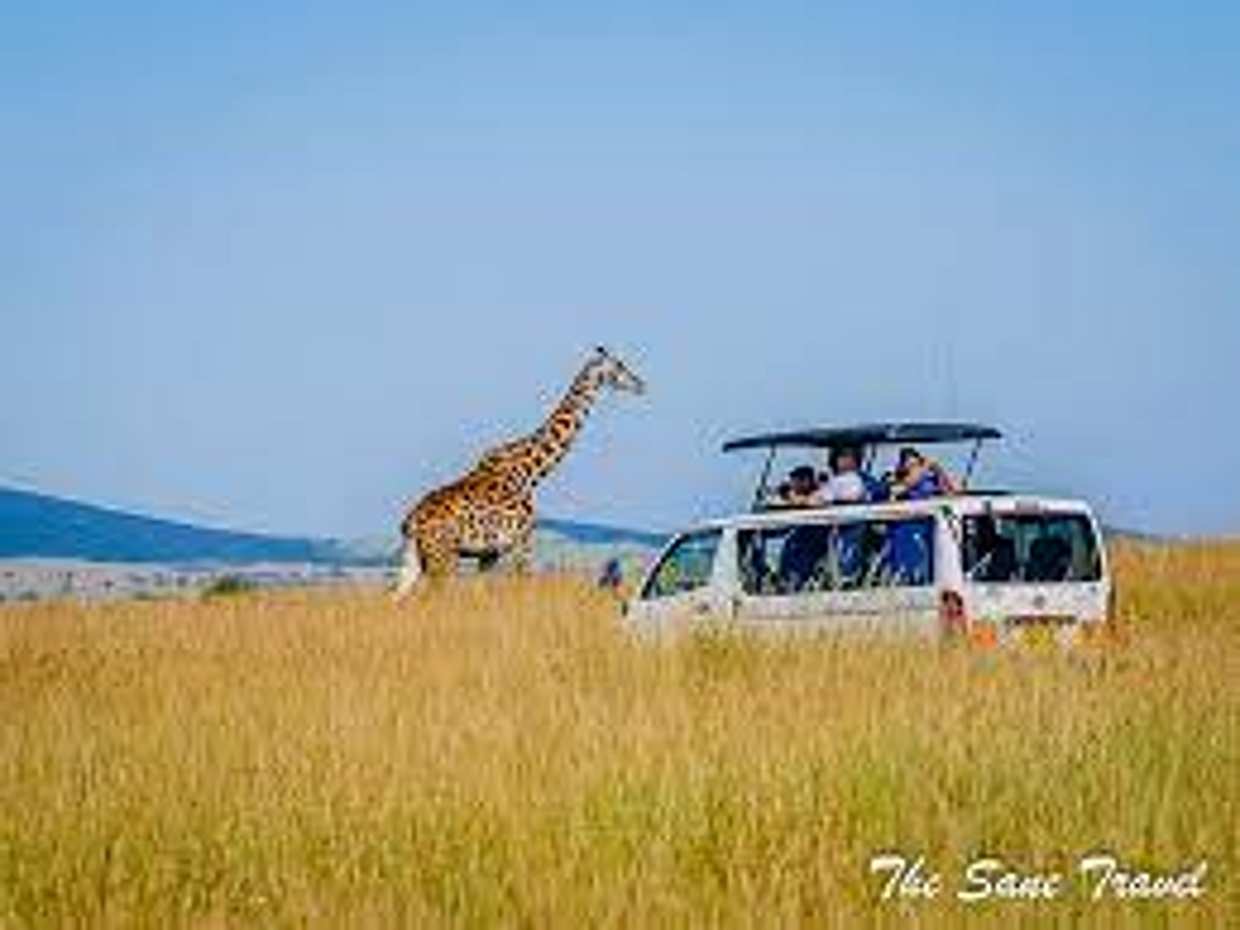 Masai Mara 1-day Trip in Kenya, photo 3