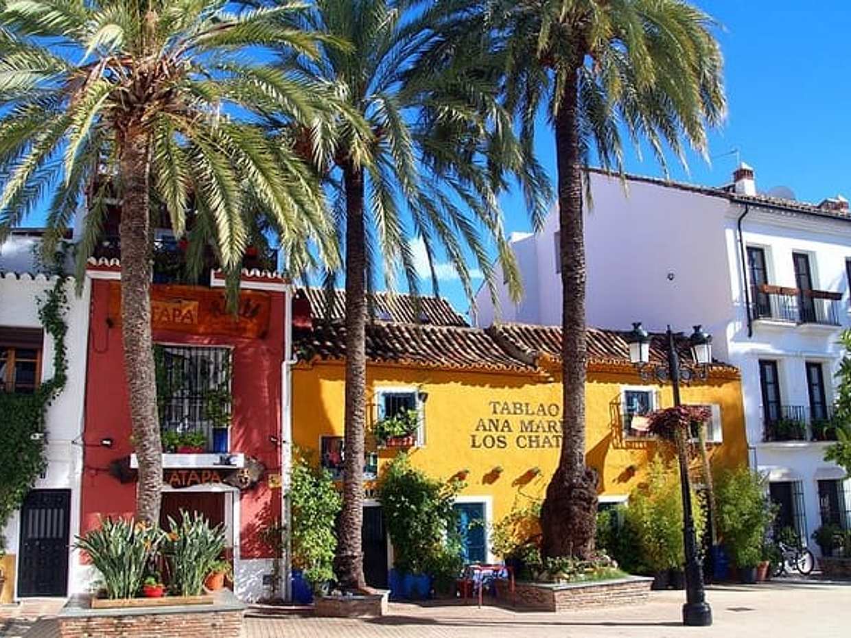 Private Day Trip From Malaga To Marbella and back in Spain, photo 2