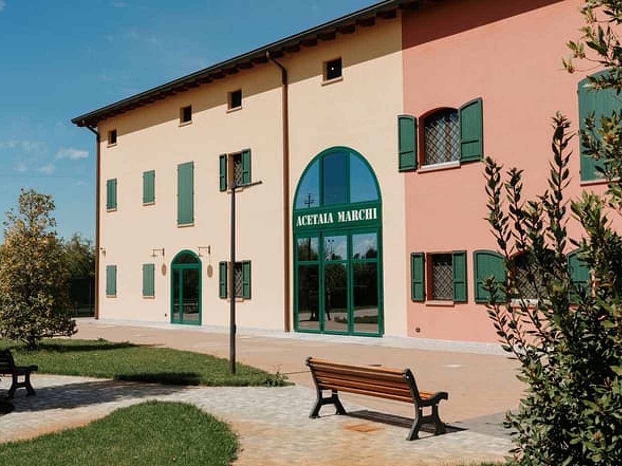 Modena: Tasting of Balsamic Vinegar and Enzo Ferrari Museum (English)