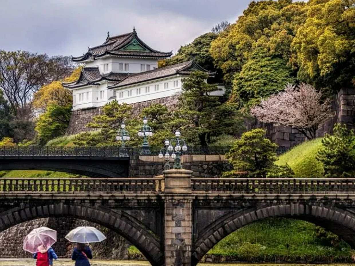 Personalized Tokyo City Tour with Assistant by Public Transportation in Japan, Personalized City Tour by Car