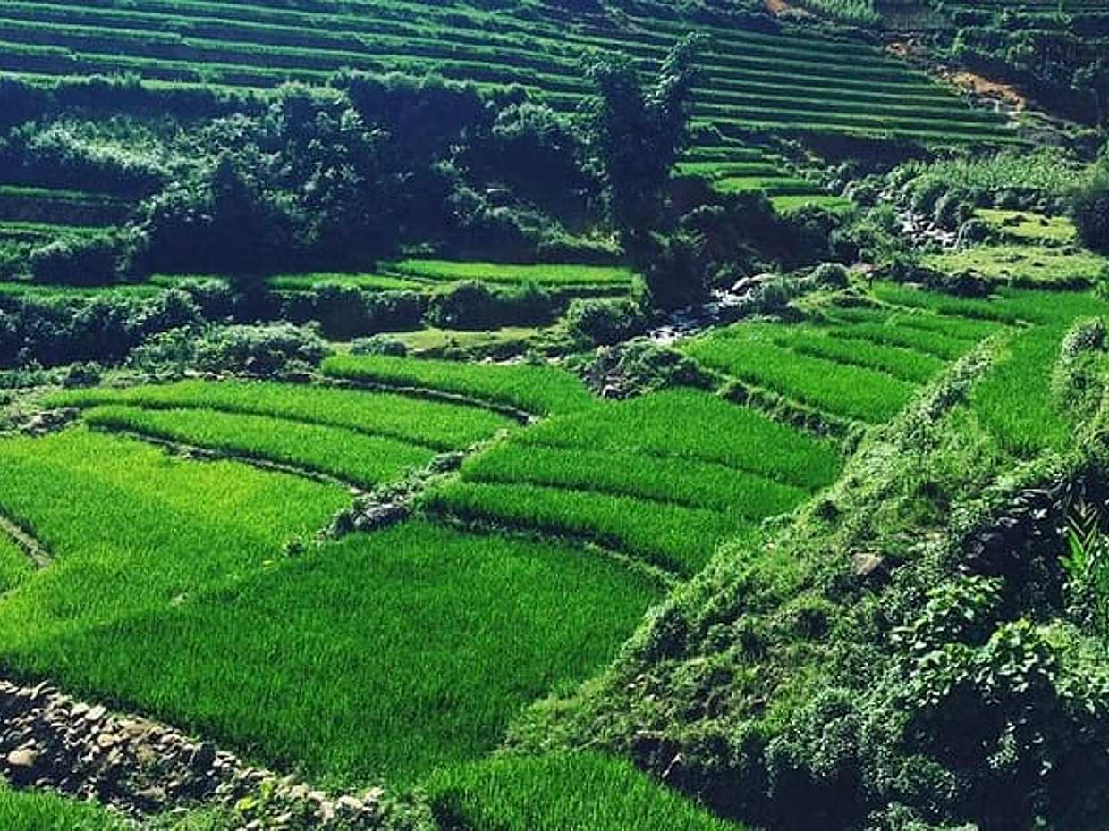 2-Days Overnight Sapa Trekking Tour by Bus from Hanoi, photo 4