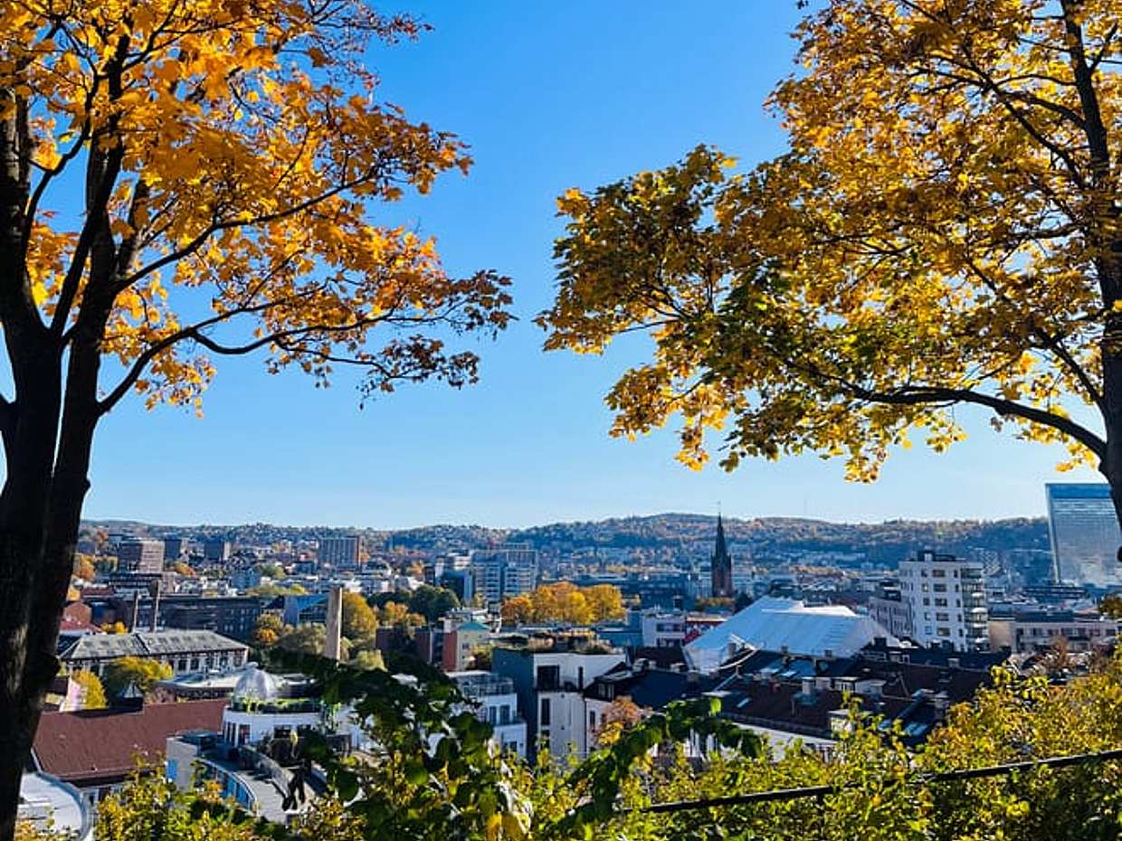 Noorse Foodtour & Verborgen Juweeltjes van Oslo in Noorwegen, photo 3