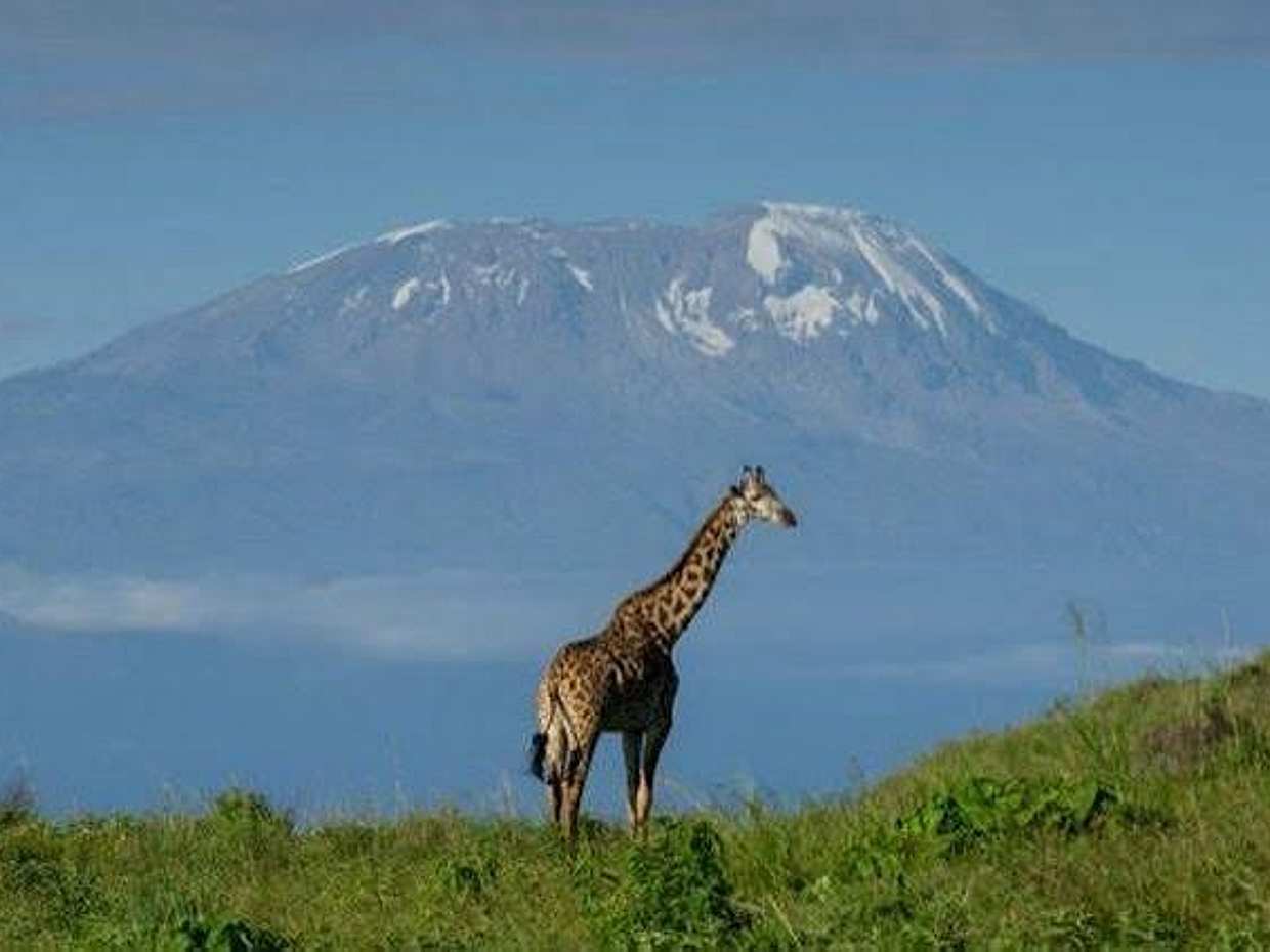 Arusha National Park Day Trip: Game Drive & Walking Safari, Tanzanie, photo 3