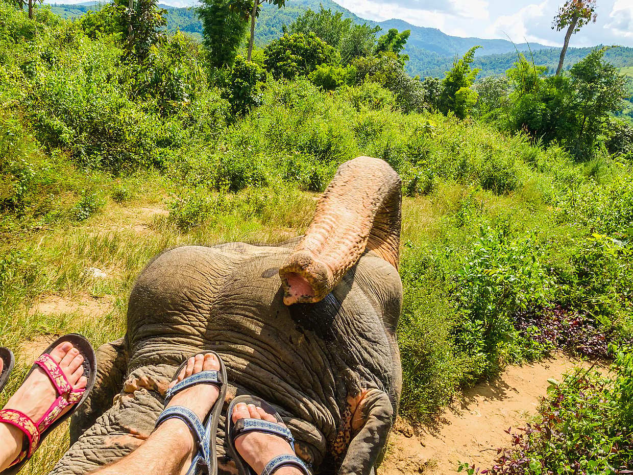 Elephant Tour in Ubud in Bali, Indonesia