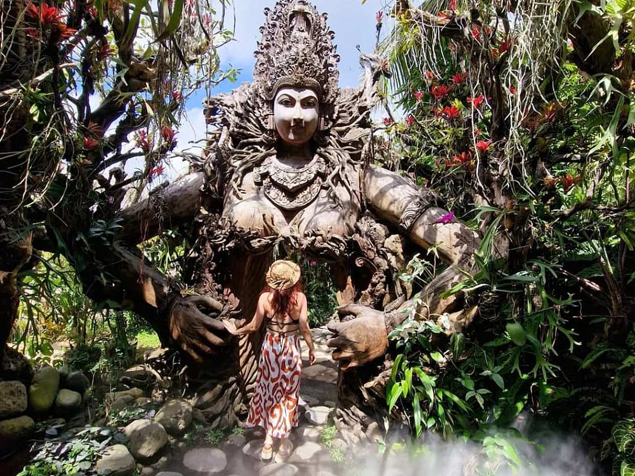 Ubud Bali: Sari Timbul,Tegalalang Rice terrace & Taman Dedari Day Trip in Indonesia