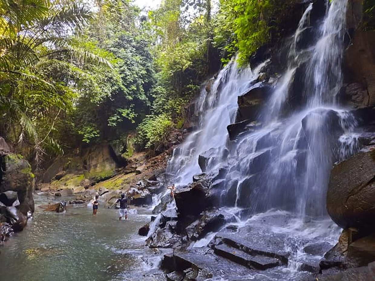 Trekking and Tegallalang Rice Terace Field Including Waterfall Ubud Tour, photo 2