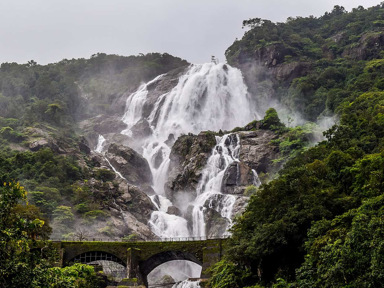 ทัวร์น้ำตก Dudhsagar ในอินเดีย, Goa
, photo 5