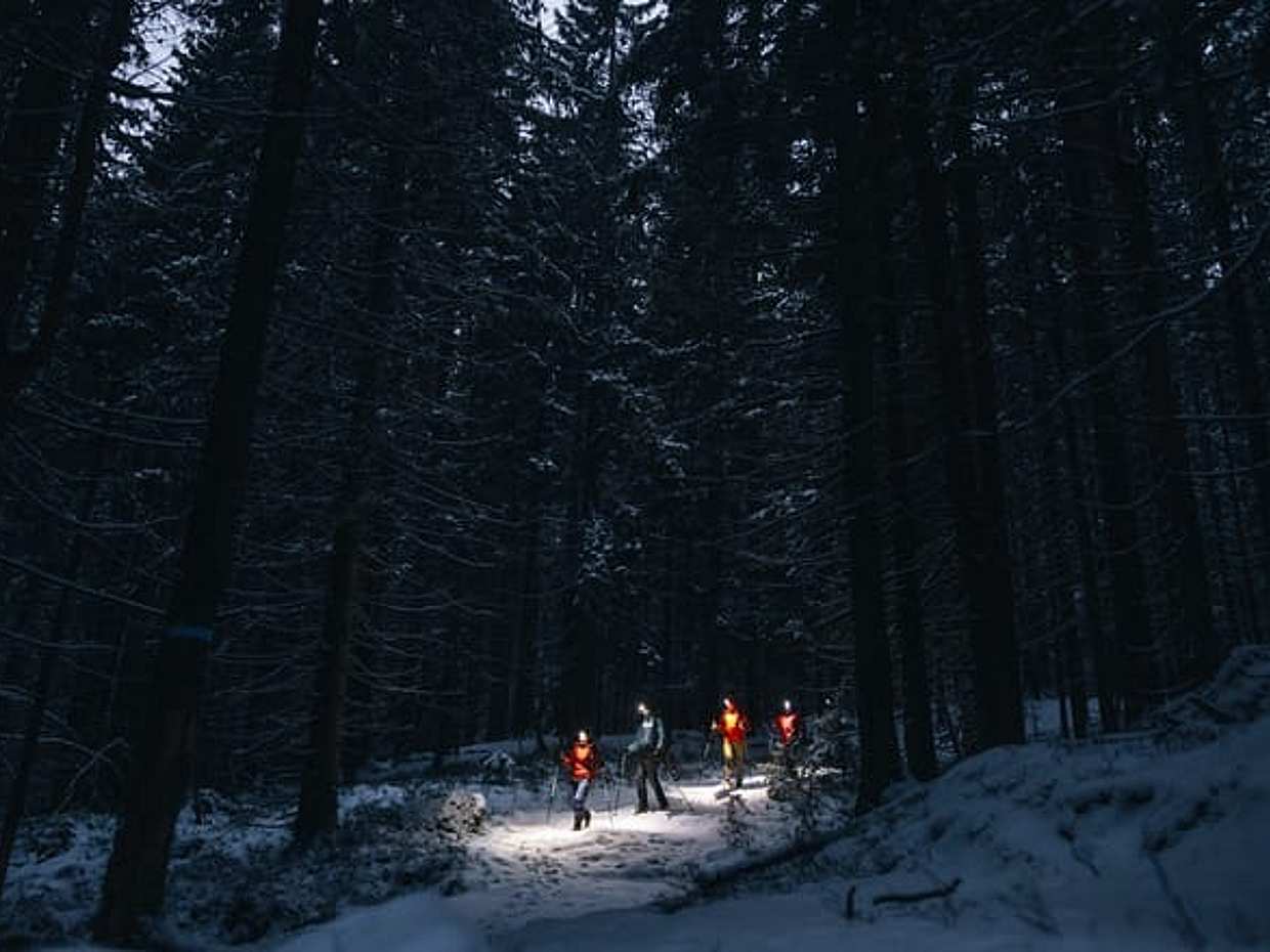 Private Mystery Night Walk with Headlamps in Norway, Oslo, photo 3
