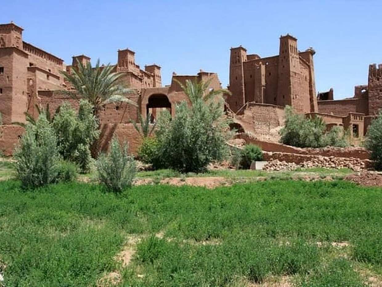 1-day private tour from Marrakech to Kasbah Ait Benhaddou & Telouet, photo 3