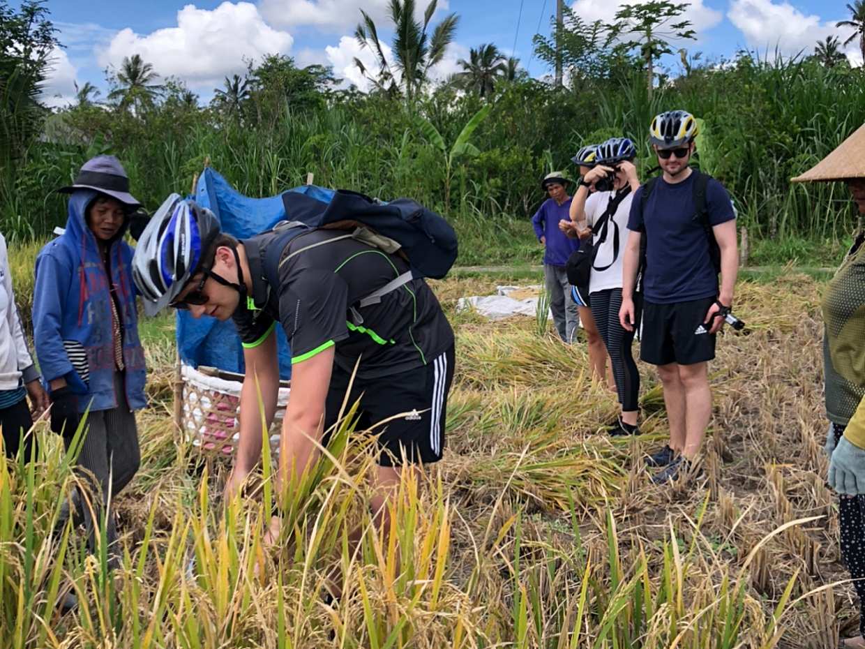 Gowez Bali Cycling Tours, photo 4