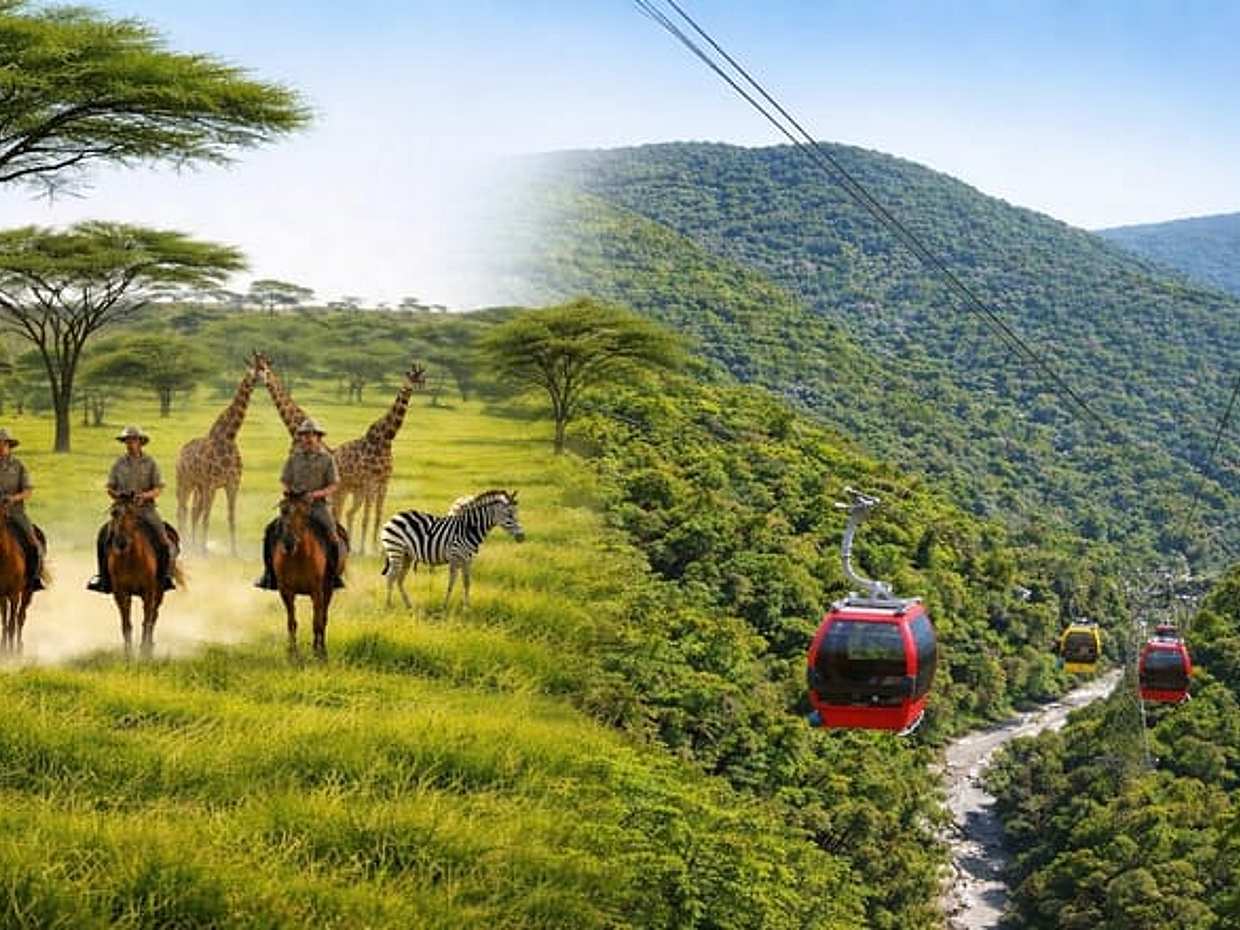 Paardensafari en kabelbaanrit vanuit Johannesburg, Zuid-Afrika