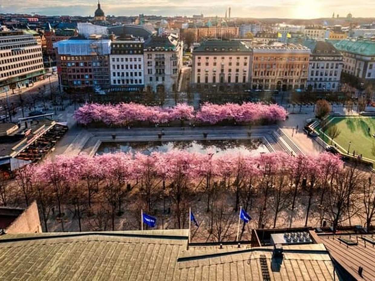 Stockholm: Geführte Fahrradtour in Schweden