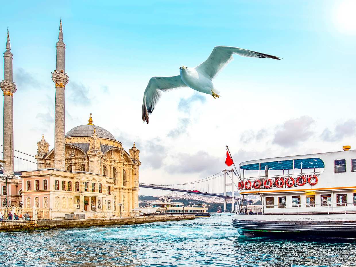 Full-day Swimming Private Yacht Cruise in Istanbul, Türkiye, photo 2
