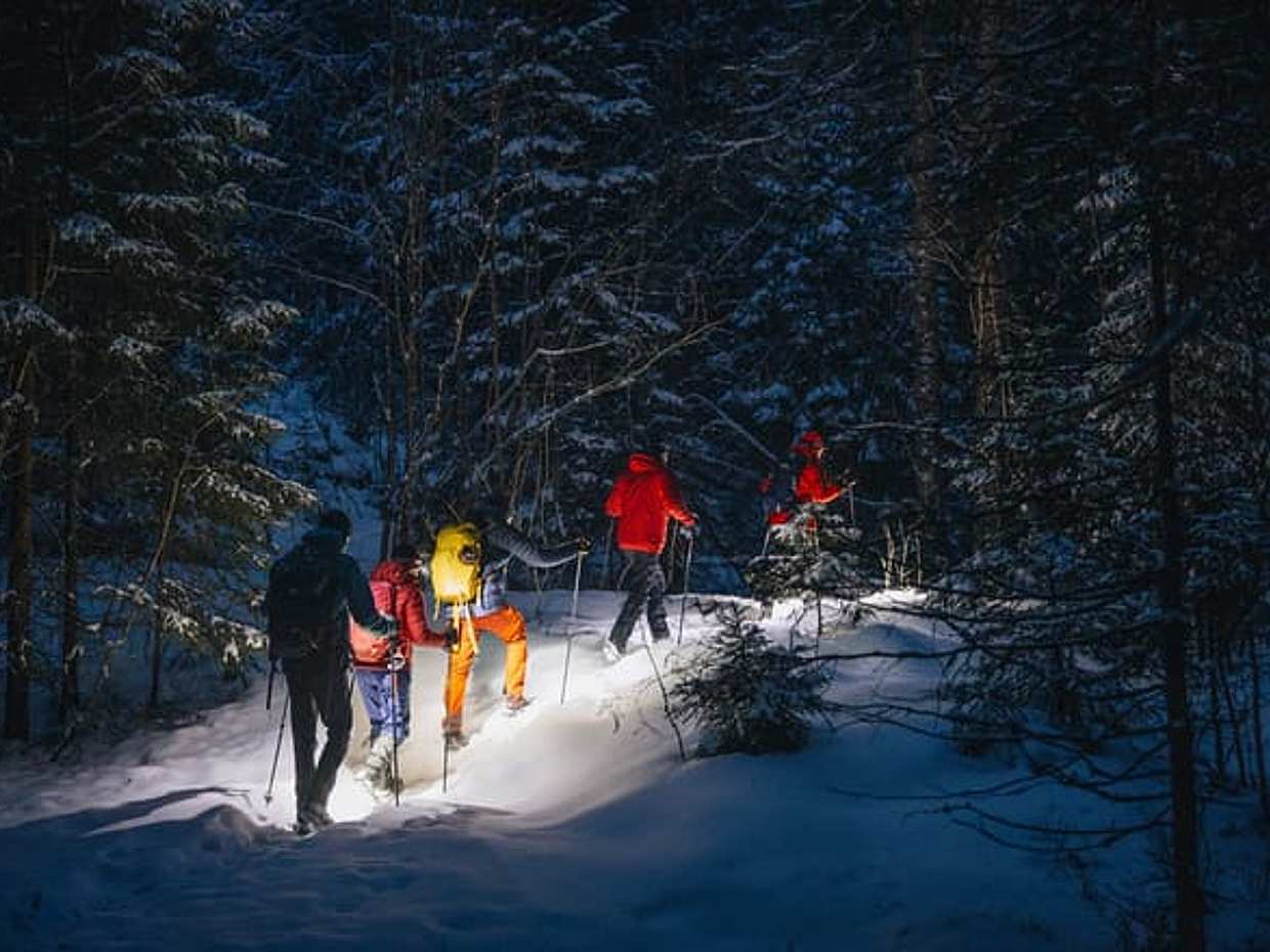 Private Mystery Night Walk with Headlamps in Norway, Oslo, photo 2