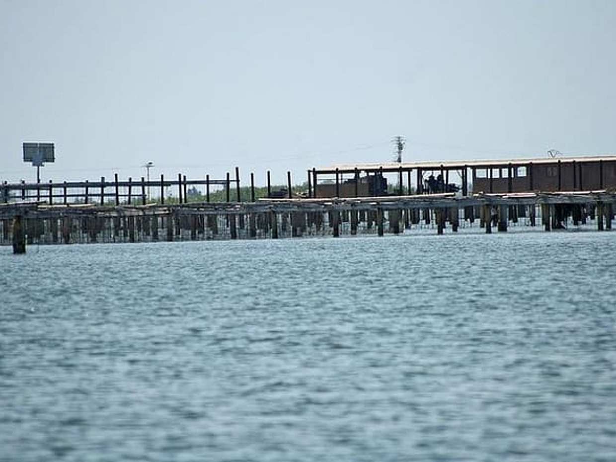 Delta del Ebro: Oysters and rice - From Salou / Tarragona