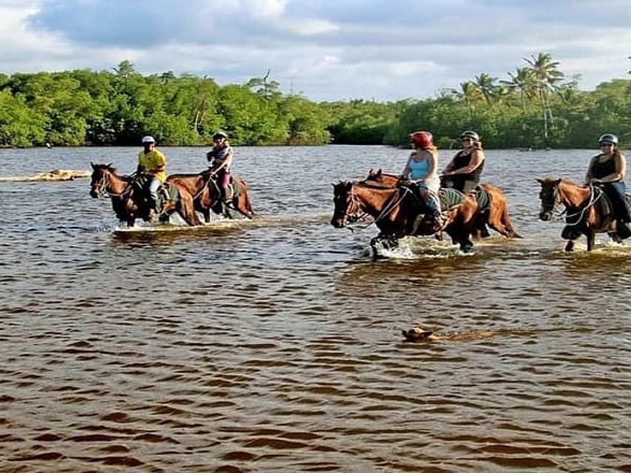 Horseback Riding to Maimon River from Punta Cana