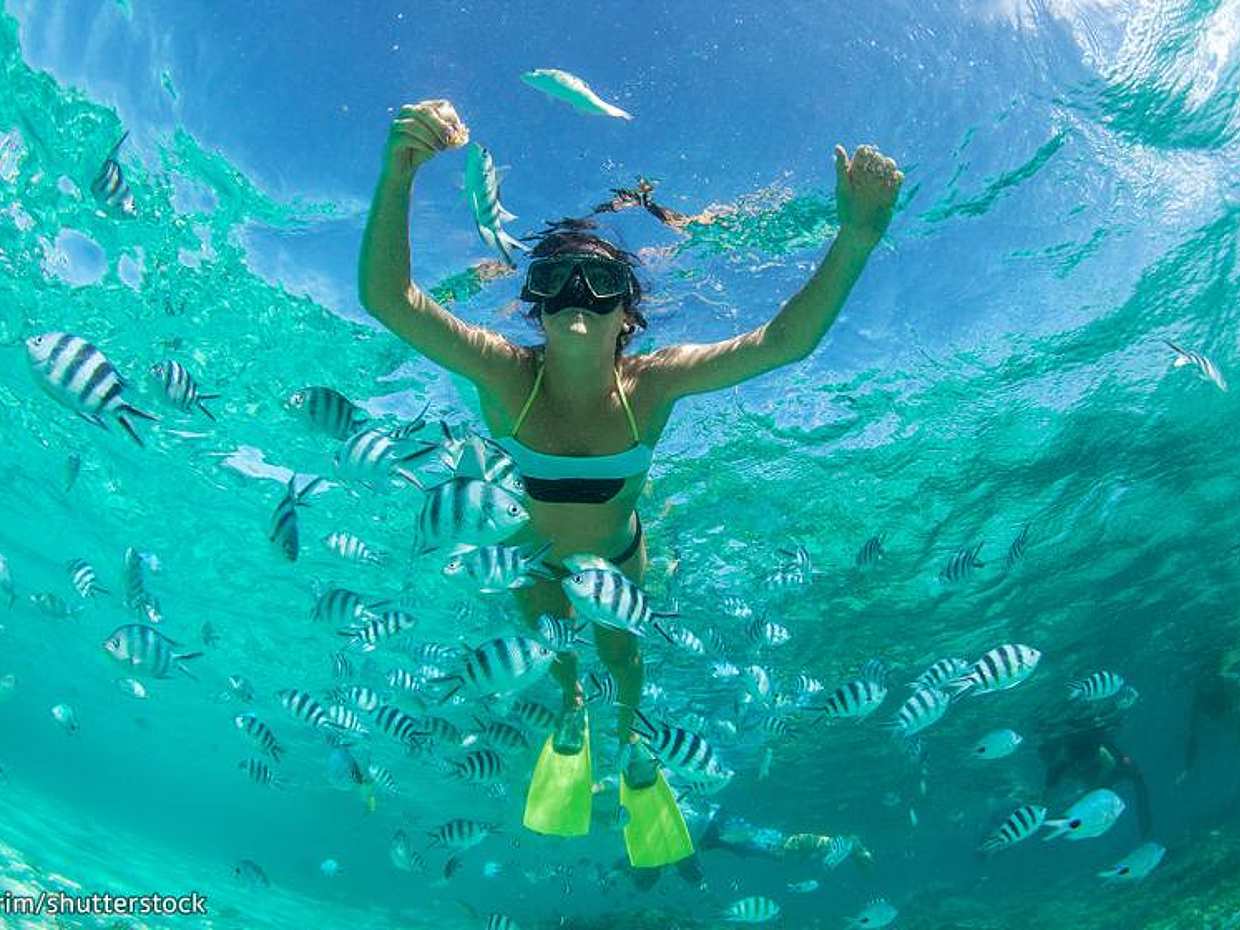 Pattaya: Coral Island Day Trip by Speed Boat with Snorkeling and Lunch in Thailand, Pattaya City, photo 2
