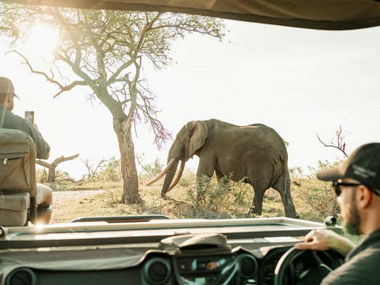 2-Day Tanzania Safari | Tarangire & Ngorongoro Big Five Experience, Arusha, photo 3